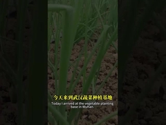 बैसिलस बीजाणुओं और बैकुलोवायरस के संयोजन से लेपिडोप्टरियन कीट को बेहतर तरीके से नियंत्रित किया जा सकता है