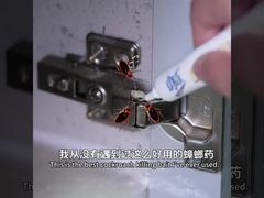 जैविक कीटनाशक वयस्क खरगोश लार्वा अंडे मारना चारा जेल खरगोश उन्मूलन