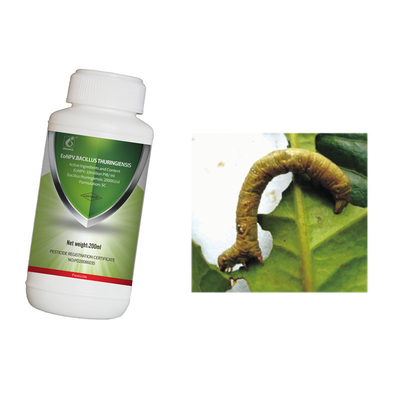 Effective Tea Tree Insecticide 10 Million PIB/mL EoNPV 2000IU/uL Bt for Insect Control