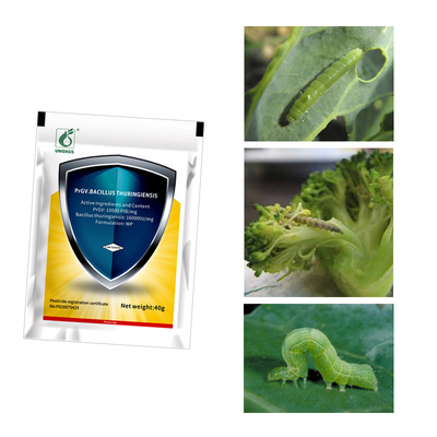 SC Formulation Biological Insecticides No Residue cabbage worm spray Long-Lasting Pest Prevention