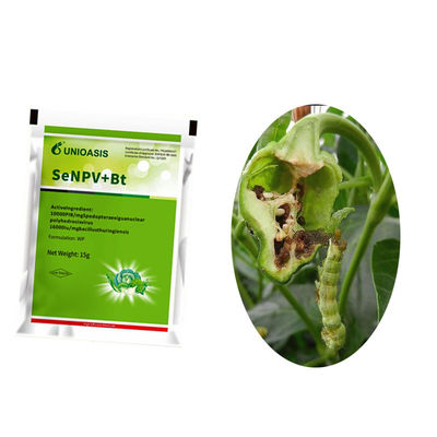 Organic Certified Maize Crop Pesticide with 2 Years Shelf Life and 20g Per 15L Water Application Rate for Beet Armyworm Control