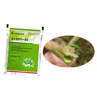 Organic Certified Maize Crop Pesticide with 2 Years Shelf Life and 20g Per 15L Water Application Rate for Beet Armyworm Control