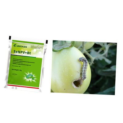 Organic Certified Maize Crop Pesticide with 2 Years Shelf Life and 20g Per 15L Water Application Rate for Beet Armyworm Control