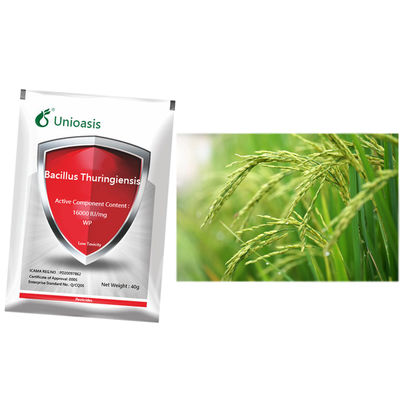 Induction factor cruciferous vegetable cabbage caterpillar killer insecticide bacillus thuringiensis 