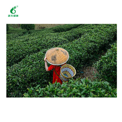 Environmentally friendly pesticides for organic tea plant 10 million PIB/mL EoNPV 2000IU/uL Bt