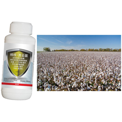 Biological Insecticides Bacillus Thuringiensis Organic Cotton Pesticide NPV Pesticide  Killing Cotton Bollworm