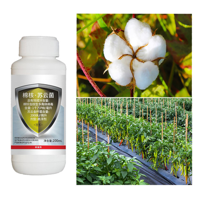 Biological Insecticides Bacillus Thuringiensis Organic Cotton Pesticide NPV Pesticide  Killing Cotton Bollworm