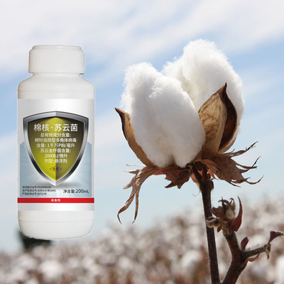 Pink Worm on Cotton Pesticide Natural Cotton Organic Biological Pesticide Against Cotton Boll Worm