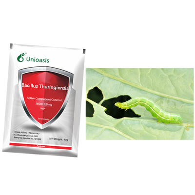 Microbial Bt WP Bacillus Thuringiensis Maize Crop Pesticides Killing Agriculture Pest  Of Corn
