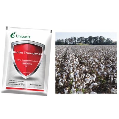 Microbial Bt WP Bacillus Thuringiensis Maize Crop Pesticides Killing Agriculture Pest  Of Corn