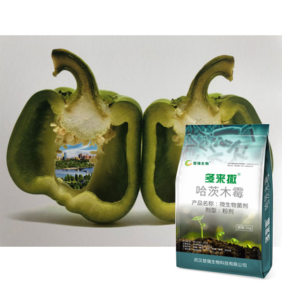 Duolaisa Bio Trichoderma Fertilizer Prevent Bacterial Wilt Root