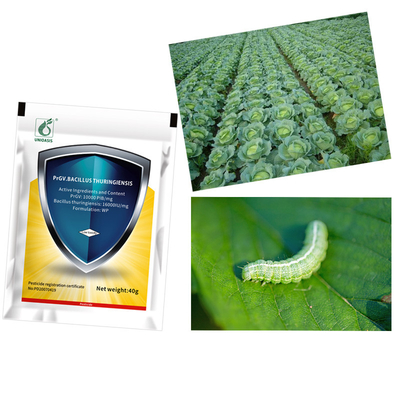 Natural Agriculture Pesticide Wettable Powder Biological Insecticides PrGV Bacillus Thuringiensis Effect on Cabbage Worm