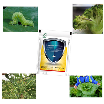Liquid Pesticide PrGV Plus Bacillus Thuringiensis 500 Gr For Cabbage Worms