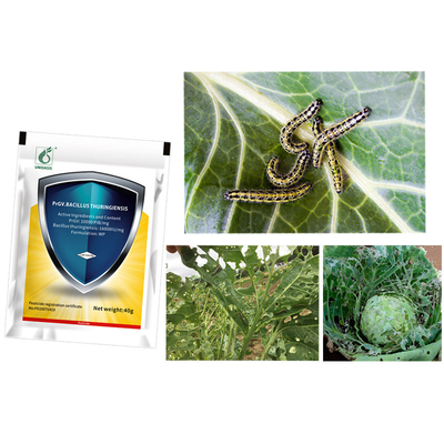 Liquid Pesticide PrGV Plus Bacillus Thuringiensis 500 Gr For Cabbage Worms