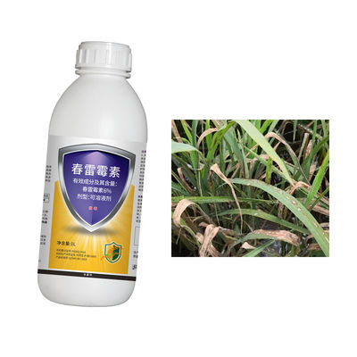 Control Plant Diseases Kasugamycin Primary Application Agriculture Pesticide Bacteriostatic Agent