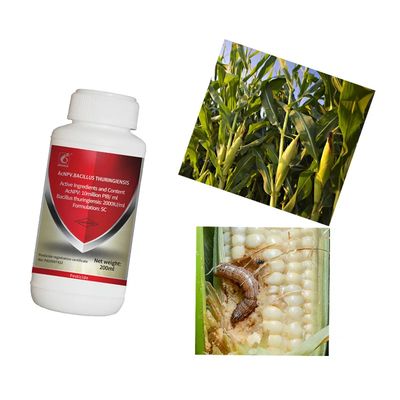 Systemic Liquid Pesticide for Maize Crops with 10 million PIB/mL AcNPV + 2000IU/mL Bt and Organic Certification