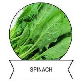 Organic certification insecticide excellent control of beet armyworm vegetable crop pests management