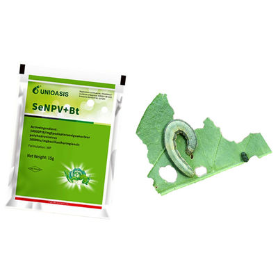 Organic Certification Biological Insecticide for Spodoptera Exigua Control with 2 Years Shelf Life