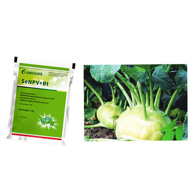 Organic Certification Biological Insecticide for Spodoptera Exigua Control with 2 Years Shelf Life