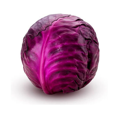 Attractive Price Spodoptera litura Pine Caterpillar White Moth Elimination AcNPV bio pesticides 