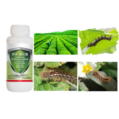 Black Tea Pest Geometer Killer Pesticide 10 million PIB/mL EoNPV 2000IU/mL Bt 