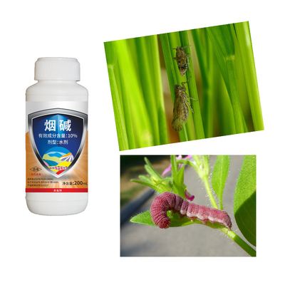 Insect Biocides 10% Nicotine AS Aphid Spray For Vegetables Cabbage