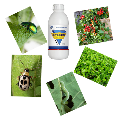 SC Agrochemical 10% Beta Cypermethrin Insecticide Pesticide For Vegetables Fruit Trees