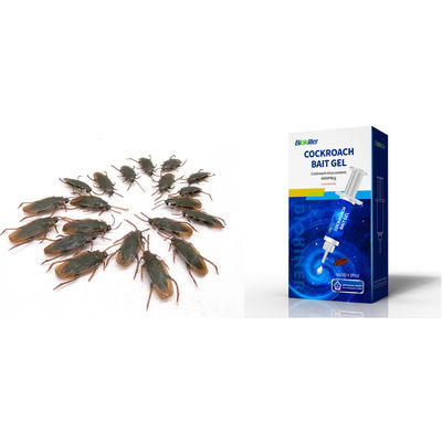 PfDNV 6000PIB/g Cockroach Bait Gel with Domino Effect for Safe Roach Killer Gel